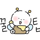 이브헤어샾