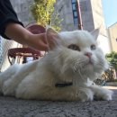 호텔라온제주 이미지