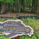 수원-1999 이미지