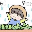마녀의하루 네이버블로그