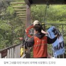中 "절벽 그네" 애원했는데... 사망~ 이미지
