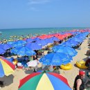 동해시-6 이미지