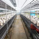 청봉농장 이미지