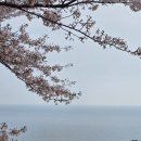 한려해상국립공원의 봄 자락을 사뿐히 가슴으로 걷다~ 이미지