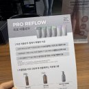 프로헤어비스