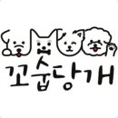 꼬숩당개 이미지