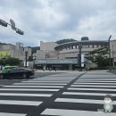 아디오스 피아졸라, 라이브 탱고 | 아디오스 피아졸라, 라이브 탱고 | 예술의전당 콘서트홀 S석 시야