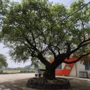 임천보건지소 이미지