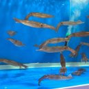 믿음수산 이미지