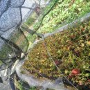 태안농장 이미지