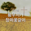 242. 황무지가 장미꽃같이 이미지