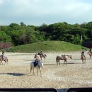 천년의 제국, 아! 고구려 / 제주도 더마파크 (The horse park) 이미지