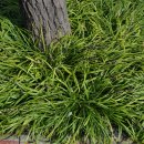 천지회관 이미지