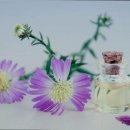 쉴만한물가요양원 이미지