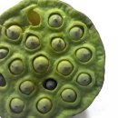 연자농장 이미지