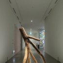 2013-주034 | 국립현대미술관 수평의 축 展