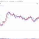 와이지메디칼 이미지