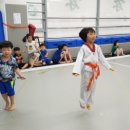 경희대 두산태권도 이미지