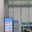 코레일낙산연수원 야영장 | 코레일 낙산연수원 - 오션뷰 후기 및 부대시설 총정리