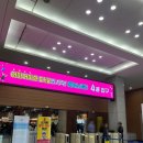 현밥상 | 2025 메가쇼 트래블쇼 팔도밥상페어 일산 킨텍스 방문 후기 및 꿀팁(짐 보관, 주차장 등)