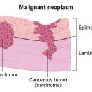 헤아림동물병원 이미지