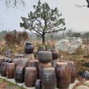 선일목장2 이미지