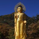 속리산 법주사 이미지