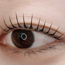 합성동306 이미지