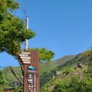 단양소백산가는길민박 | [단양] 예쁘면 단양?? 소백산 어의곡 비로봉 최단코스 등산초보 후기
