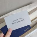 비소담