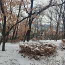 오솔길근린공원 이미지