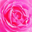 삼주공인중개사사무소 이미지