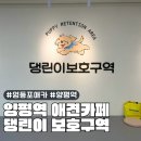 댕린이 보호구역 | 영등포 양평역 애견카페 댕린이보호구역 내돈내산