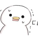 샤넬다방 이미지