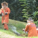 안면119안전센터 이미지