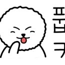 어실장회