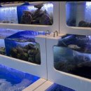 구이와찜그리고바다 이미지