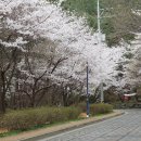 옥마산 뉴스1