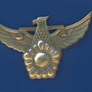 태권도백제체육관 이미지