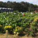 기흥농장 이미지