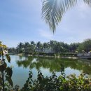 빨간문약국 | 베트남 뗏(Tet) 기간 여행 후기 | 마사지·택시·그랩 베트남 여행 괜찮을까? 직접 겪어본 후기 2026뗏