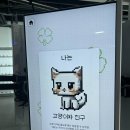 다이버시티