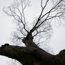 남해-276 이미지