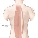 소유창 휘트니스 네이버블로그