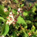 송함농장 이미지