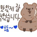 호호다방 이미지