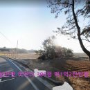 설천공인중개사 Daum카페