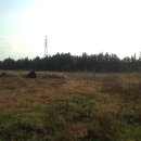 상창농장 이미지