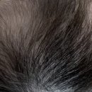 대호보조기상사 이미지