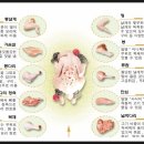 영문축산 이미지